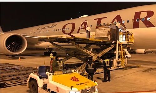 卡塔爾航空恢復中國六大航點腹艙貨運服務，助力航空物流復蘇